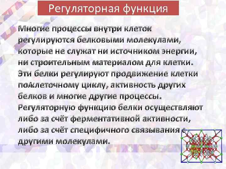 Регуляторная функция Многие процессы внутри клеток регулируются белковыми молекулами, которые не служат ни источником