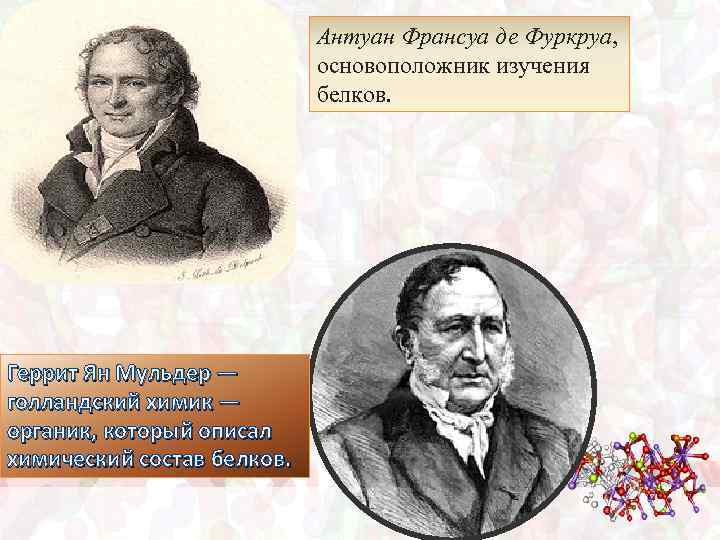 Антуан Франсуа де Фуркруа, основоположник изучения белков. Геррит Ян Мульдер — голландский химик —