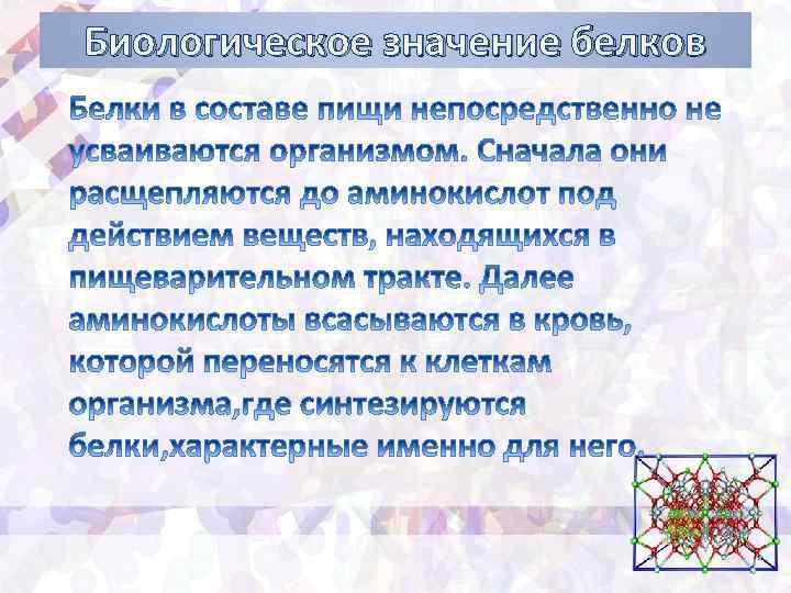 Значение белков. Биологическое значение белков. Биологической значение Белкоы. Белки медико биологическое значение. Белки биологическое значение.