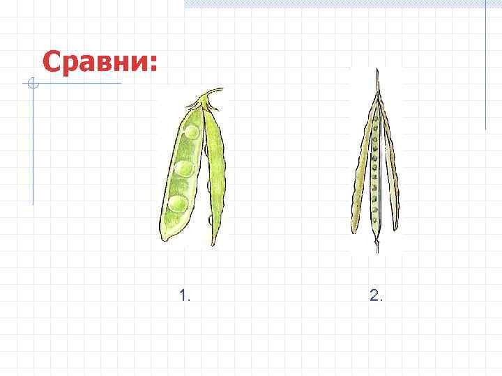 Сравни: 1. 2. 