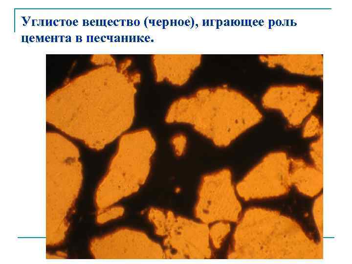 Углистое вещество (черное), играющее роль цемента в песчанике. 