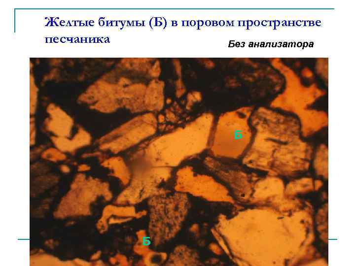 Желтые битумы (Б) в поровом пространстве песчаника Без анализатора Б Б 