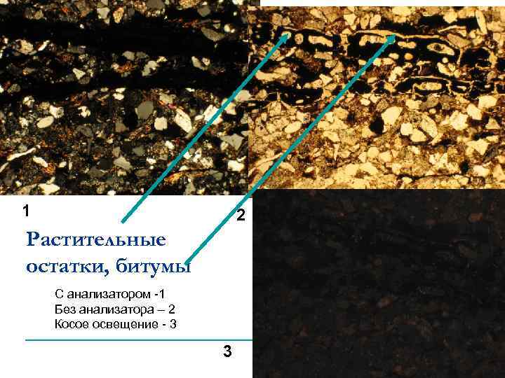 1 2 Растительные остатки, битумы С анализатором -1 Без анализатора – 2 Косое освещение