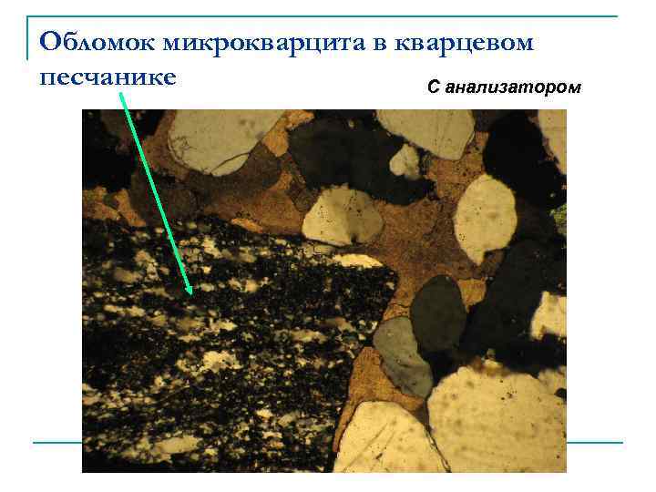 Обломок микрокварцита в кварцевом песчанике С анализатором 
