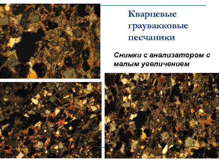 Кварцевые граувакковые песчаники Снимки с анализатором с малым увеличением 