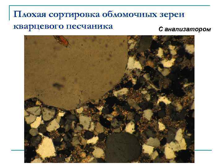 Плохая сортировка обломочных зерен кварцевого песчаника С анализатором 