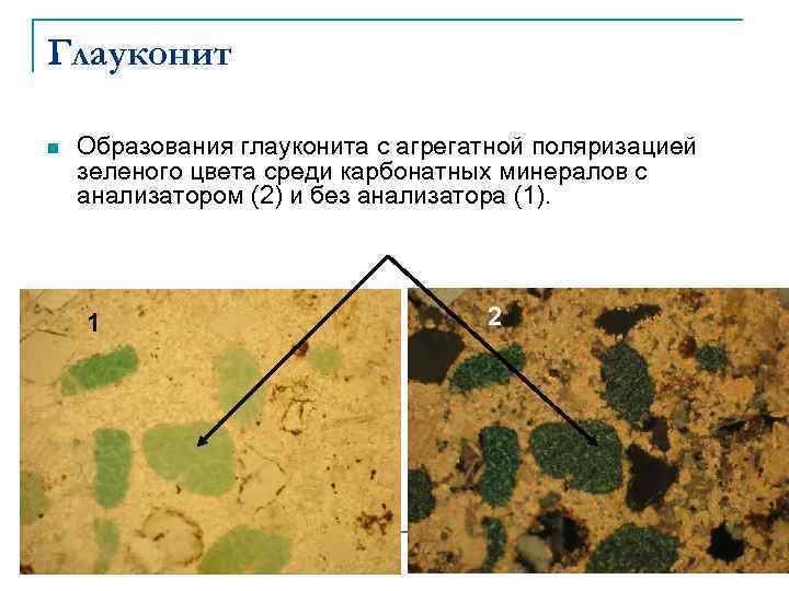 Глауконит n Образования глауконита с агрегатной поляризацией зеленого цвета среди карбонатных минералов с анализатором