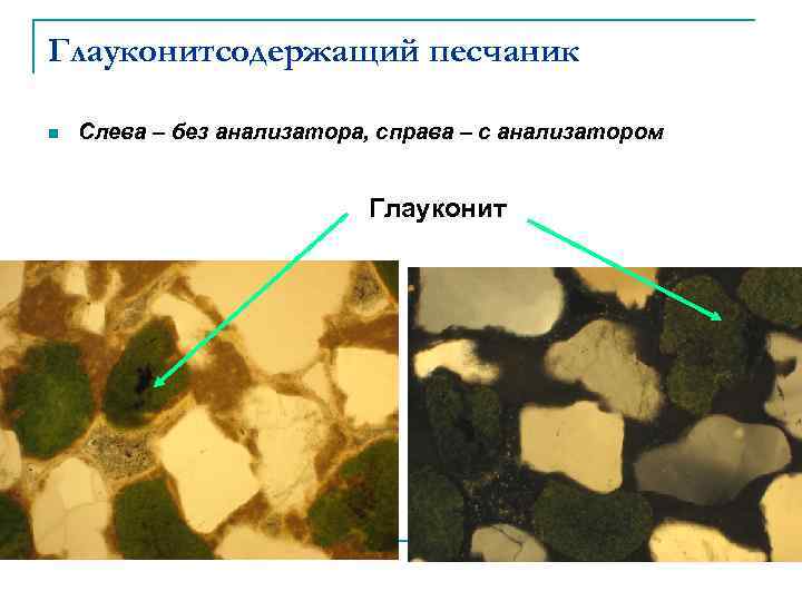 Глауконитсодержащий песчаник n Слева – без анализатора, справа – с анализатором Глауконит 