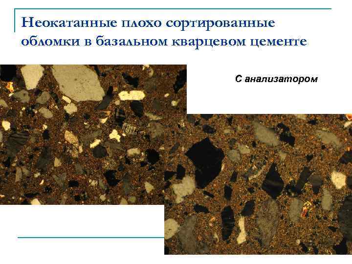 Неокатанные плохо сортированные обломки в базальном кварцевом цементе С анализатором 
