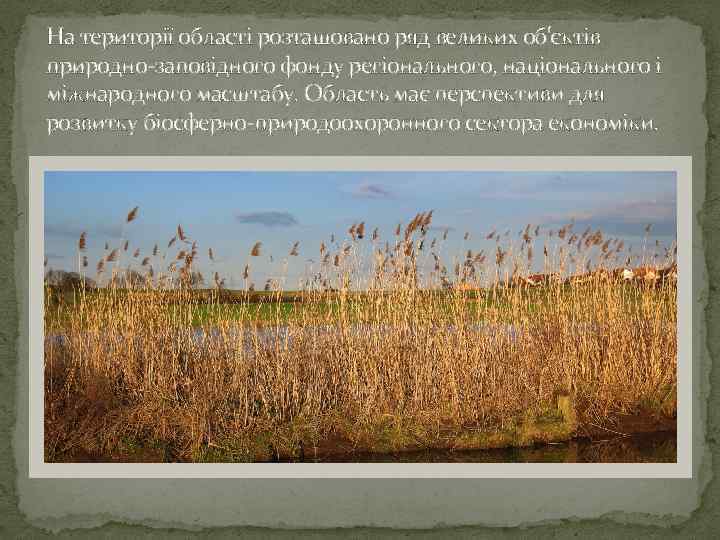 На території області розташовано ряд великих об'єктів природно-заповідного фонду регіонального, національного і міжнародного масштабу.