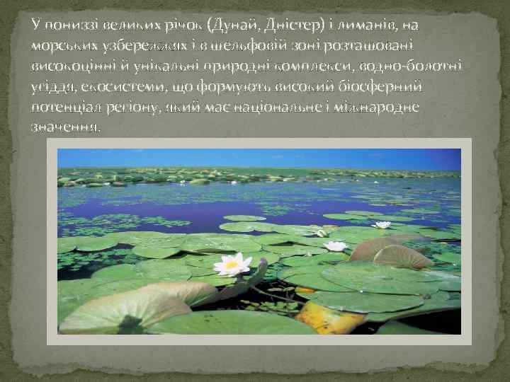 У пониззі великих річок (Дунай, Дністер) і лиманів, на морських узбережжях і в шельфовій