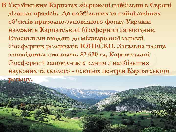 В Українських Карпатах збережені найбільші в Європі ділянки пралісів. До найбільших та найцікавіших об'єктів