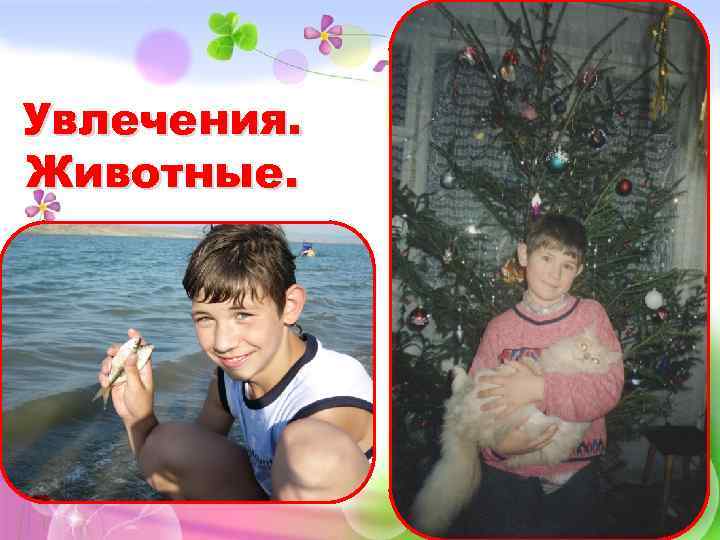 Увлечения. Животные. 