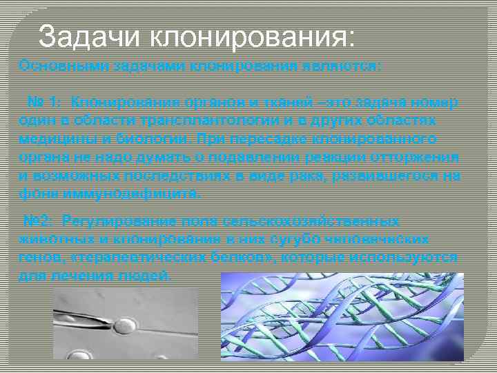 Задачи клонирования: Основными задачами клонирования являются: № 1: Клонирование органов и тканей –это задача