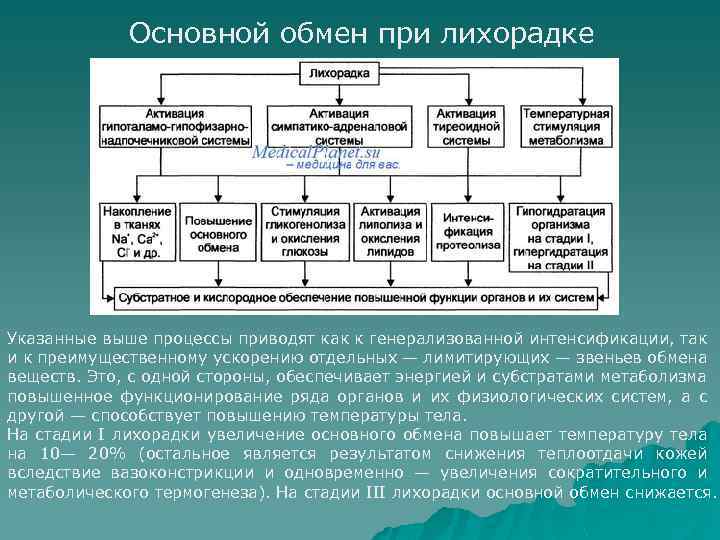 Обмен веществ при лихорадке