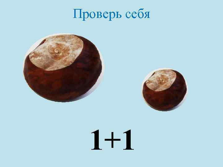 Проверь себя 1+1 