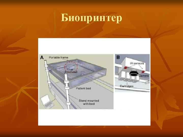 Биопринтер 