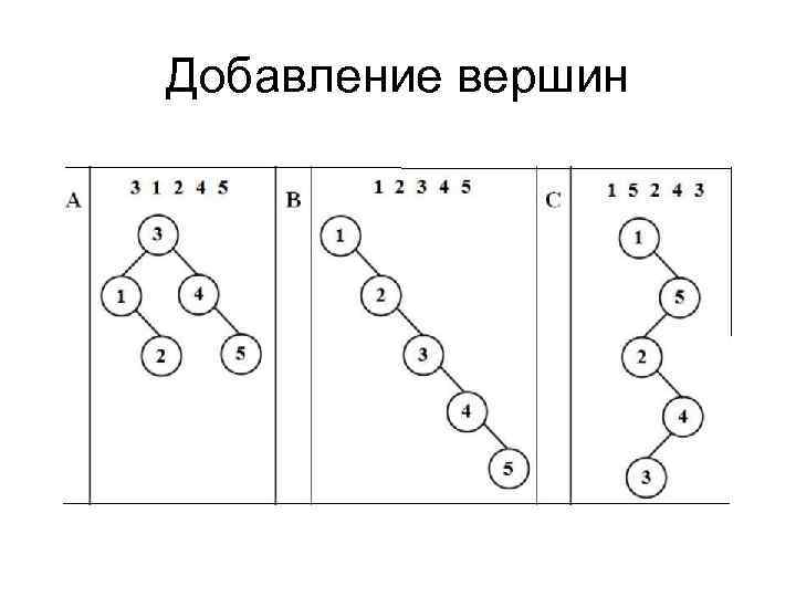Добавление вершин 
