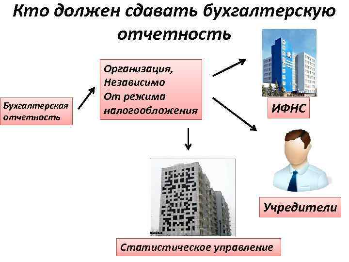 Кто должен сдавать бухгалтерскую отчетность Бухгалтерская отчетность Организация, Независимо От режима налогообложения ИФНС Учредители