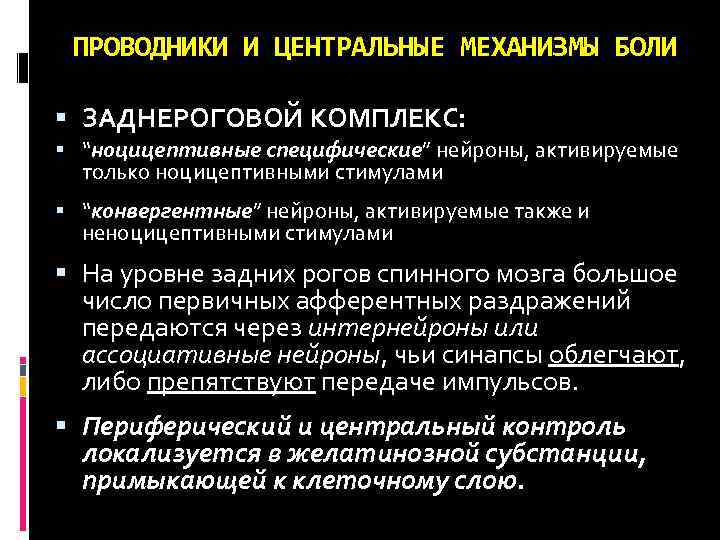 ПРОВОДНИКИ И ЦЕНТРАЛЬНЫЕ МЕХАНИЗМЫ БОЛИ ЗАДНЕРОГОВОЙ КОМПЛЕКС: “ноцицептивные специфические” нейроны, активируемые только ноцицептивными стимулами