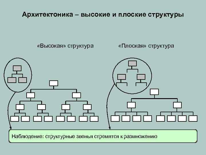 Архитектоника – высокие и плоские структуры «Высокая» структура «Плоская» структура Наблюдение: структурные звенья стремятся