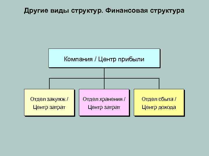 Другие виды структур. Финансовая структура Компания / Центр прибыли Отдел закупок / Отдел хранения