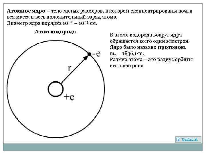 Атомное ядро – тело малых размеров, в котором сконцентрированы почти вся масса и весь