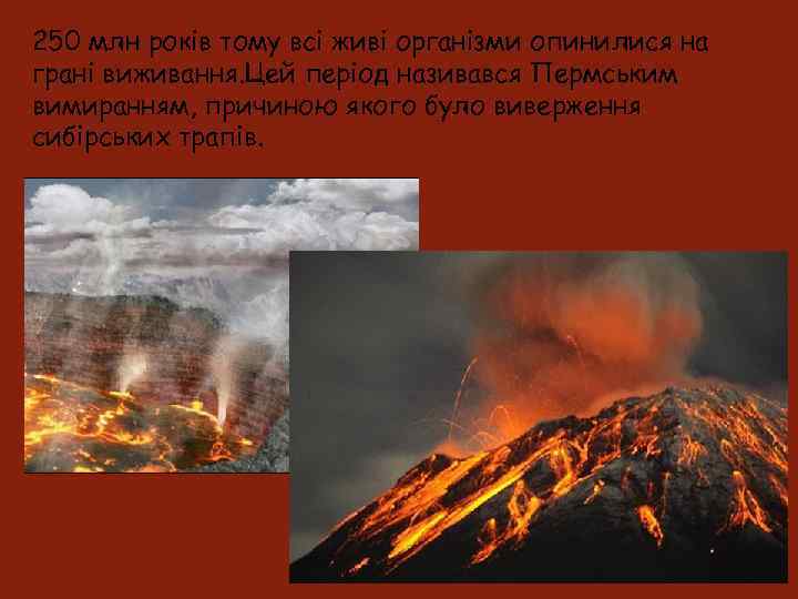 250 млн років тому всі живі організми опинилися на грані виживання. Цей період називався