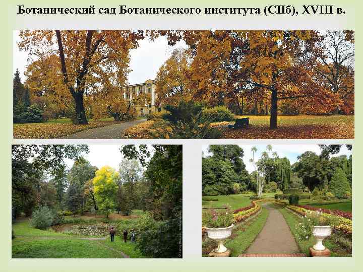 Ботанический сад Ботанического института (СПб), XVIII в. 