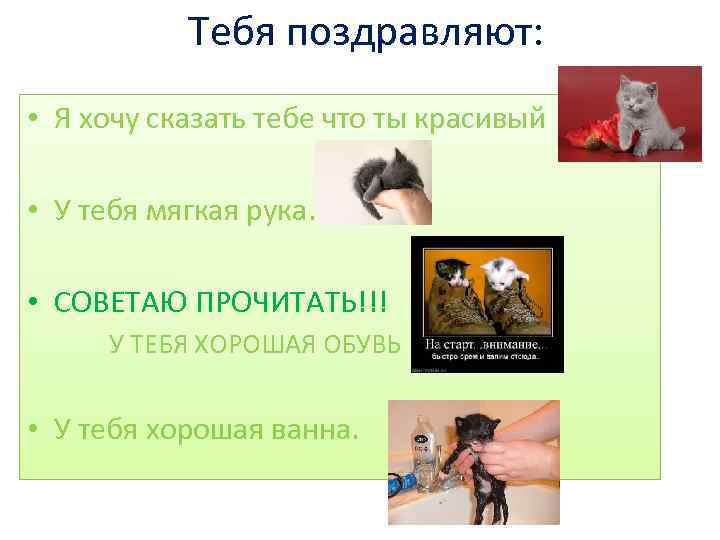 Тебя поздравляют: • Я хочу сказать тебе что ты красивый • У тебя мягкая