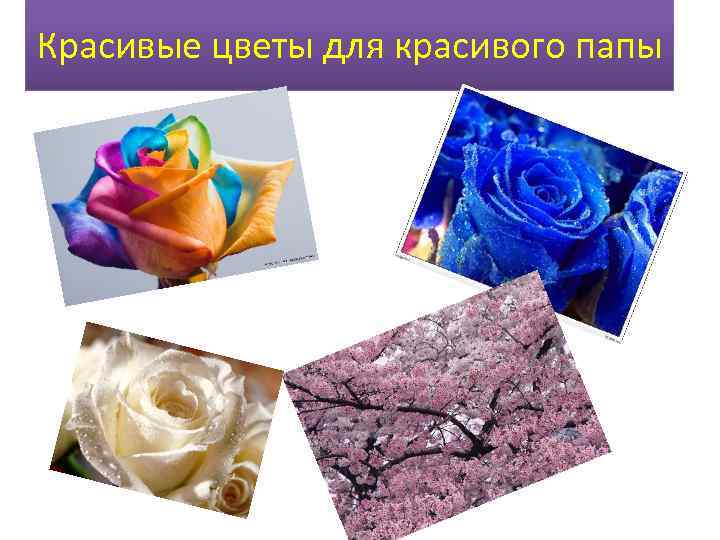 Красивые цветы для красивого папы 