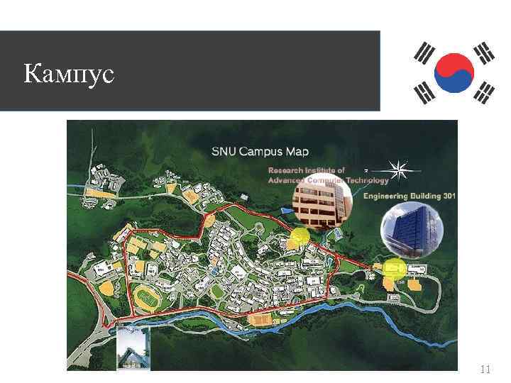 Кампус 11 