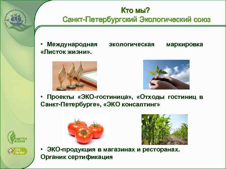 Кто мы? Санкт-Петербургский Экологический союз • Международная «Листок жизни» . экологическая маркировка • Проекты