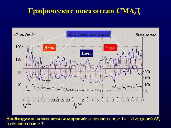 Графические показатели СМАД Врачебные измерения День Утро Ночь Необходимое количество измерений: в течение дня