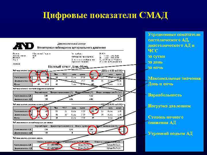 Цифровые показатели