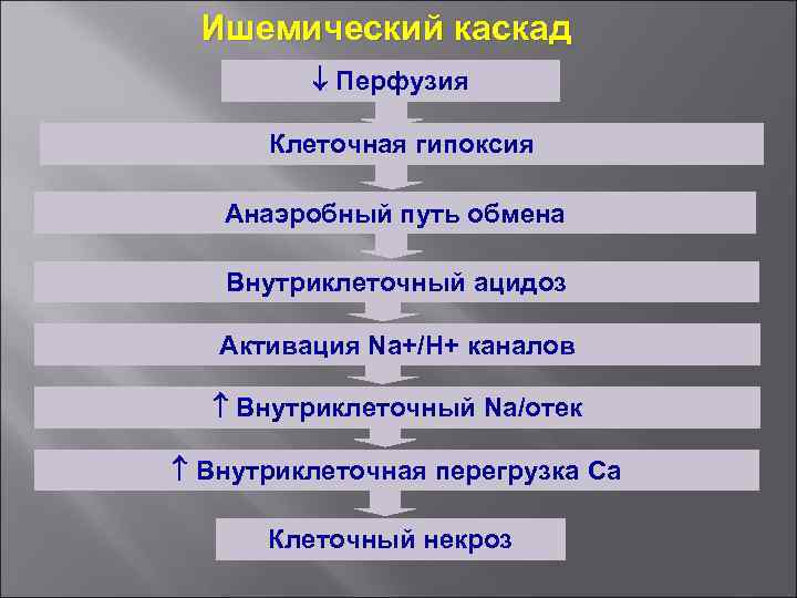 Ишемический каскад Перфузия Клеточная гипоксия Анаэробный путь обмена Внутриклеточный ацидоз Активация Na+/H+ каналов Внутриклеточный