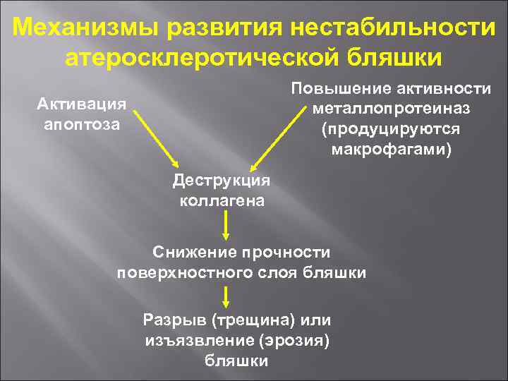 Механизмы развития нестабильности атеросклеротической бляшки Повышение активности металлопротеиназ (продуцируются макрофагами) Активация апоптоза Деструкция коллагена