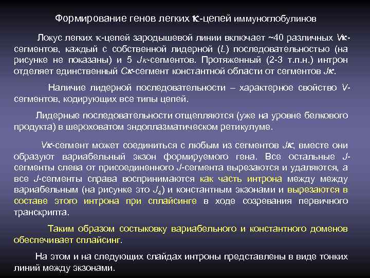 Формирование генов легких k-цепей иммуноглобулинов Локус легких -цепей зародышевой линии включает ~40 различных Vkcегментов,