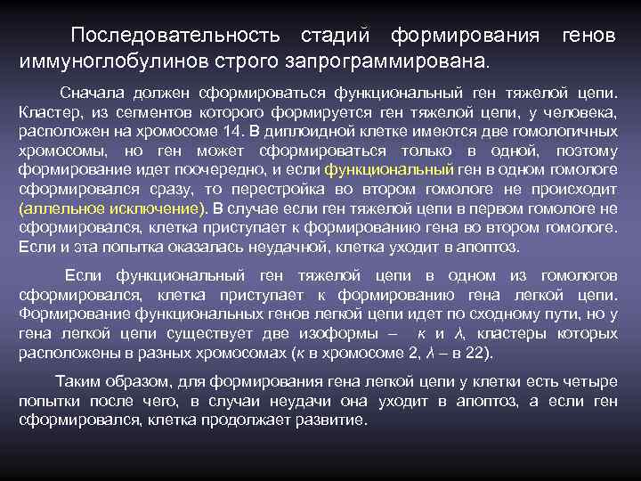 Последовательность стадий формирования генов иммуноглобулинов строго запрограммирована. Сначала должен сформироваться функциональный ген тяжелой цепи.