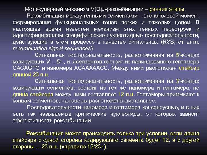 Молекулярный механизм V(D)J-рекомбинации – ранние этапы. Рекомбинация между генными сегментами – это ключевой момент
