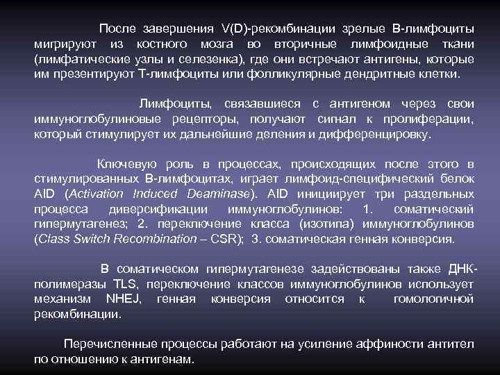 После завершения V(D)-рекомбинации зрелые В-лимфоциты мигрируют из костного мозга во вторичные лимфоидные ткани (лимфатические
