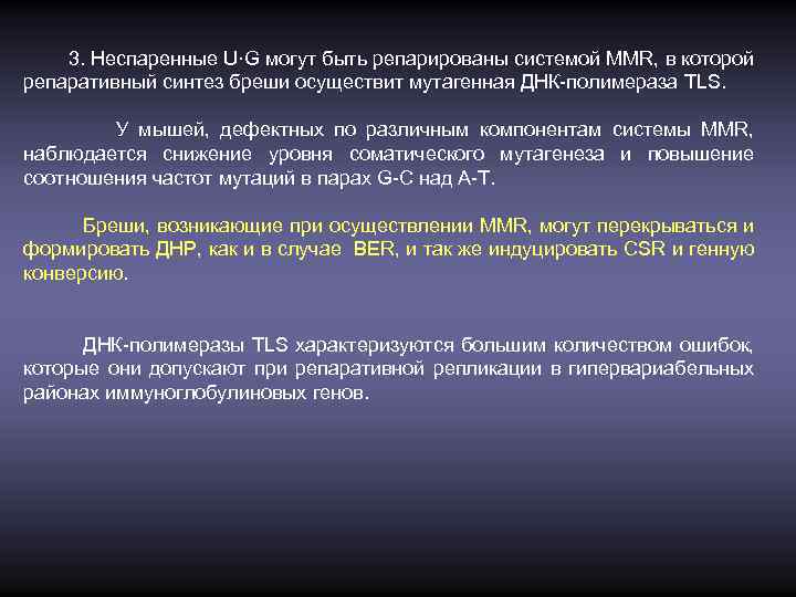 3. Неспаренные U·G могут быть репарированы системой MMR, в которой репаративный синтез бреши осуществит