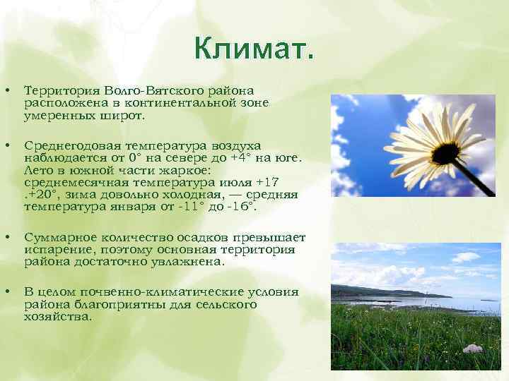 Климат. • Территория Волго-Вятского района расположена в континентальной зоне умеренных широт. • Среднегодовая температура