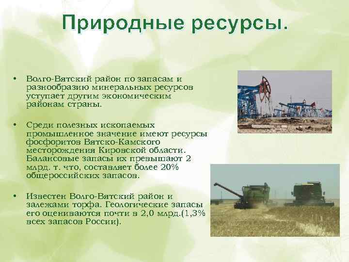 Природные ресурсы. • Волго-Вятский район по запасам и разнообразию минеральных ресурсов уступает другим экономическим