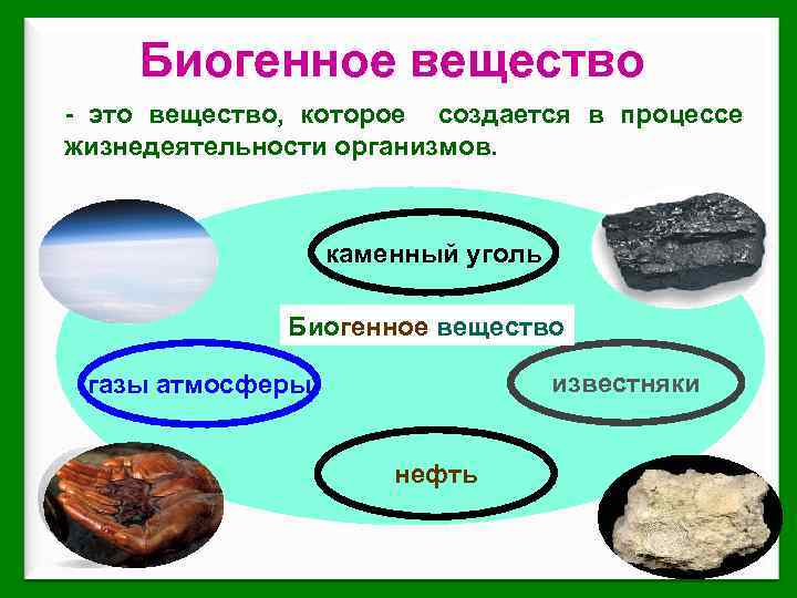 Биогенное вещество - это вещество, которое создается в процессе жизнедеятельности организмов. каменный уголь Биогенное