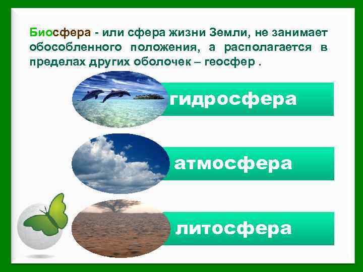 Биосфера - или сфера жизни Земли, не занимает обособленного положения, а располагается в пределах