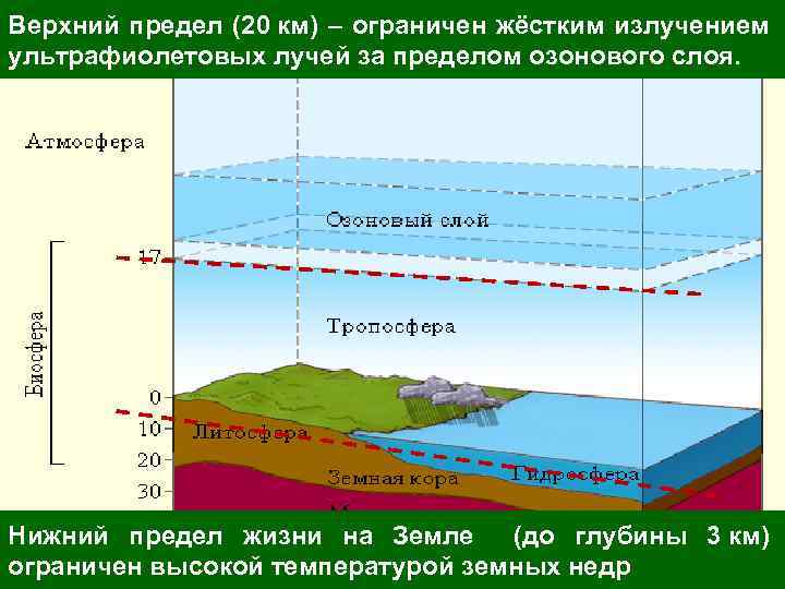 Верхний предел (20 км) – ограничен жёстким излучением ультрафиолетовых лучей за пределом озонового слоя.