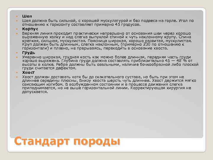  Шея должна быть сильной, с хорошей мускулатурой и без подвеса на горле. Угол