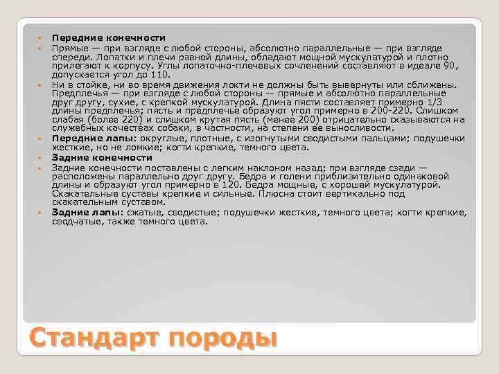  Передние конечности Прямые — при взгляде с любой стороны, абсолютно параллельные — при