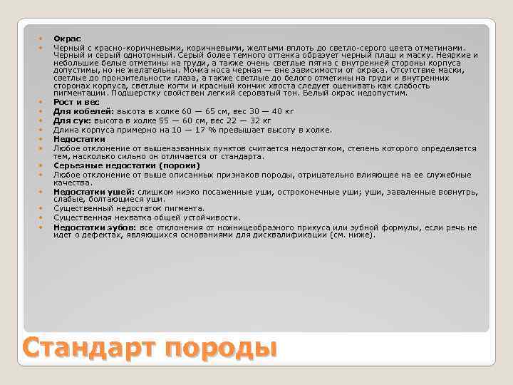  Окрас Черный с красно-коричневыми, желтыми вплоть до светло-серого цвета отметинами. Черный и серый